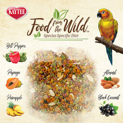 Kaytee Conure Sans Additifs Artificiels pour un repas plus pur.