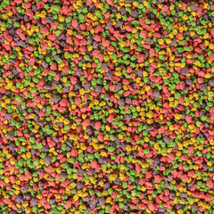 Kaytee Exact Rainbow, alimentation quotidienne pour plumes plus éclatantes chez le cacatoès.