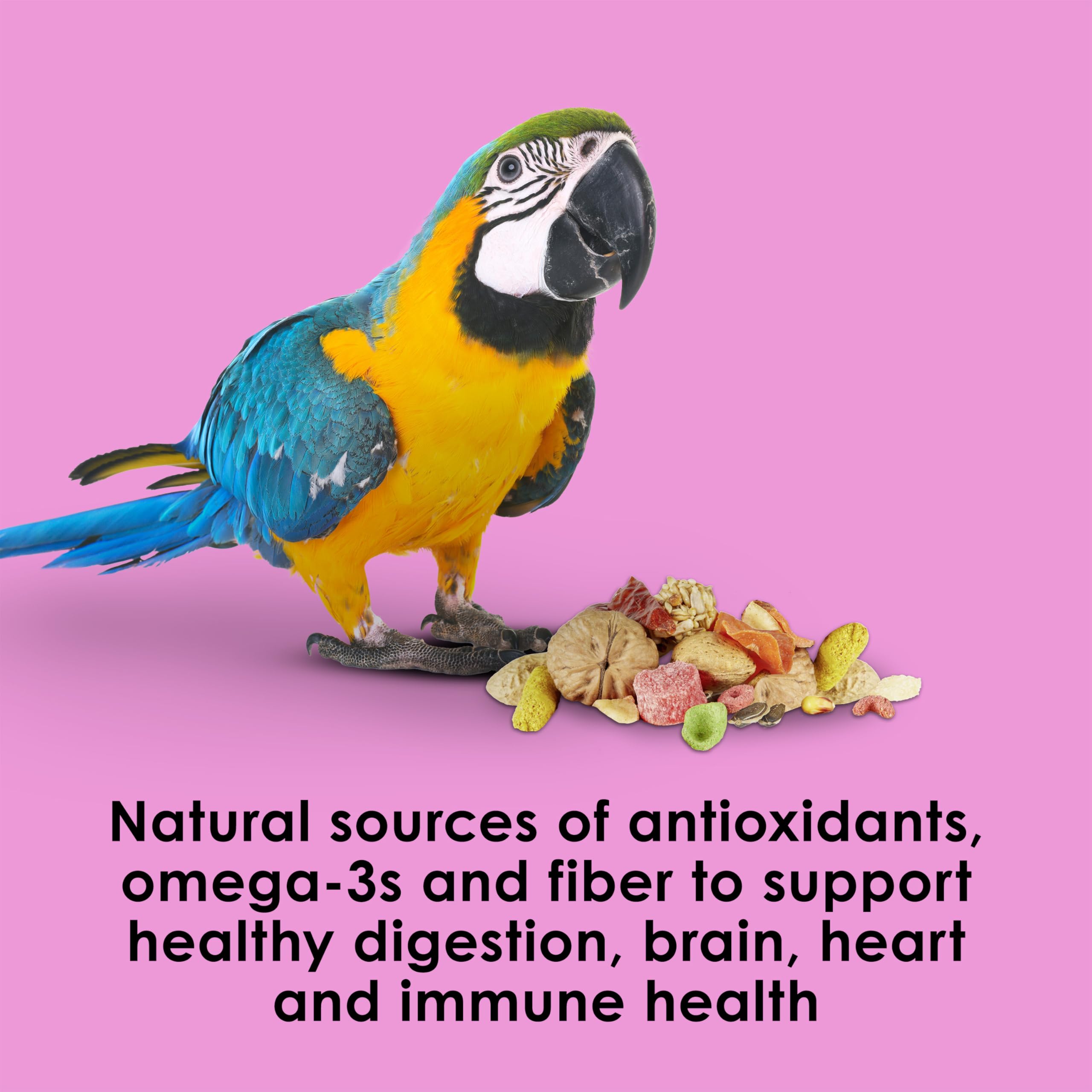 Kaytee Fiesta Big Bites Macaw Food potentiellement bénéfique pour la digestion grâce aux probiotiques
