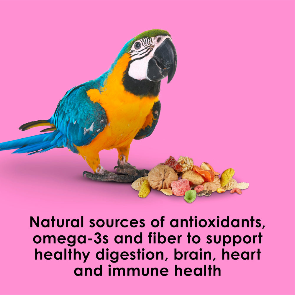 Kaytee Fiesta Big Bites Macaw Food potentiellement bénéfique pour la digestion grâce aux probiotiques