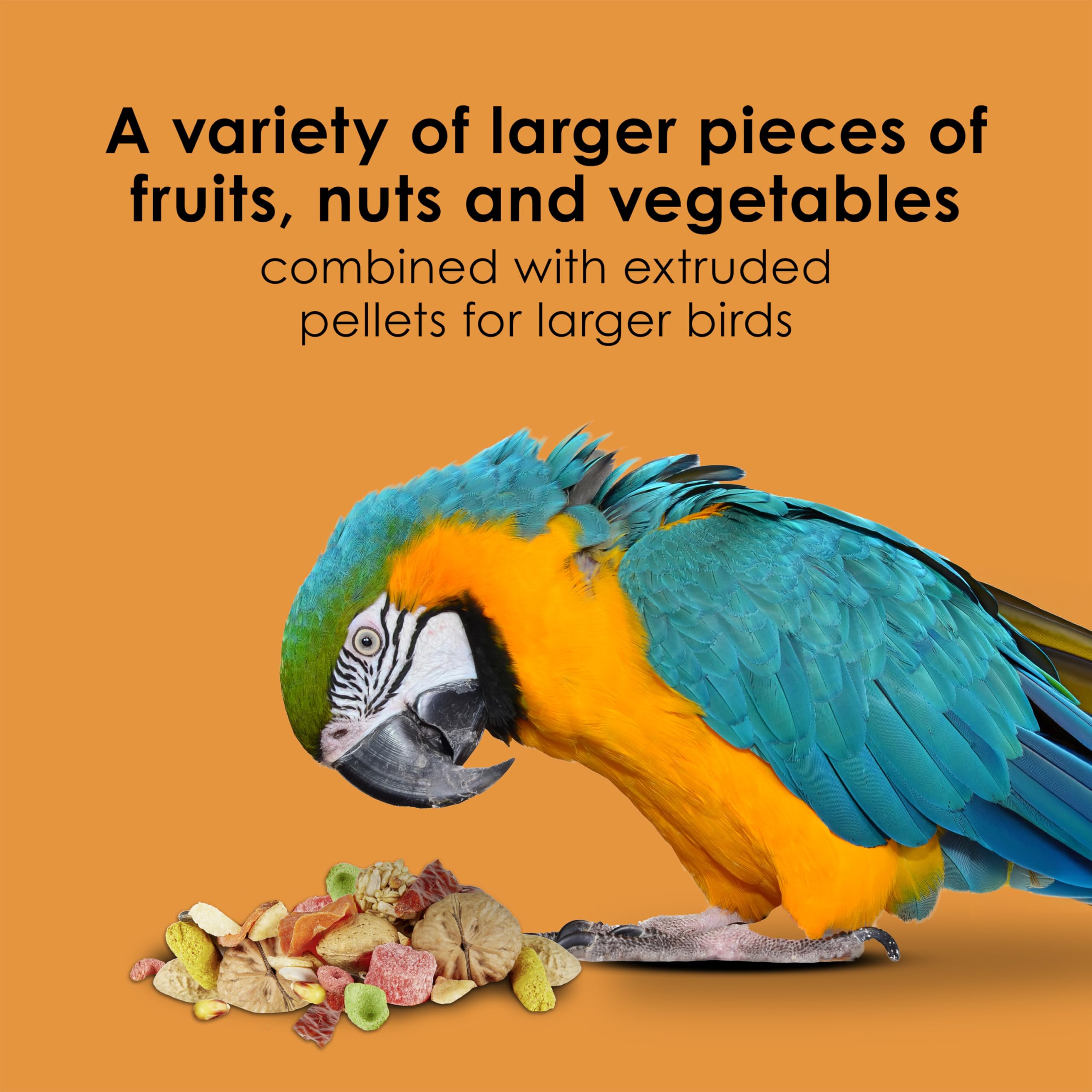 Kaytee Fiesta Big Bites Macaw Food servi dans un bol; repas interactif et facile