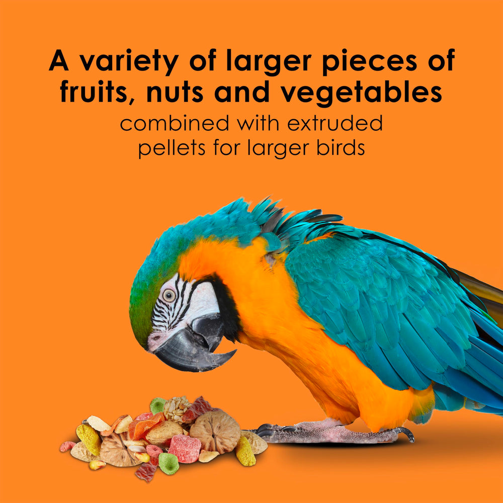 Kaytee Fiesta Big Bites Macaw Food servi dans un bol; repas interactif et facile