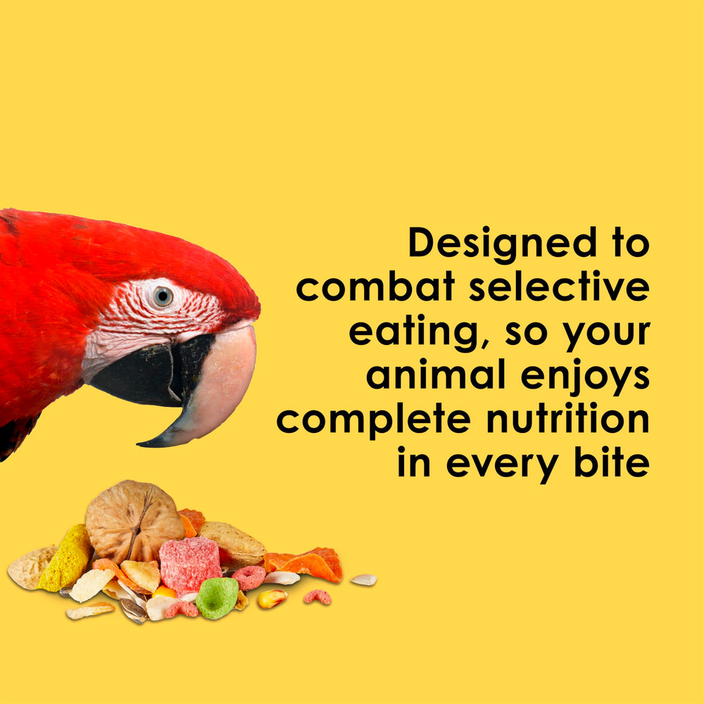 Kaytee Fiesta Big Bites Macaw Food ingrédients premium adaptés aux grands aras