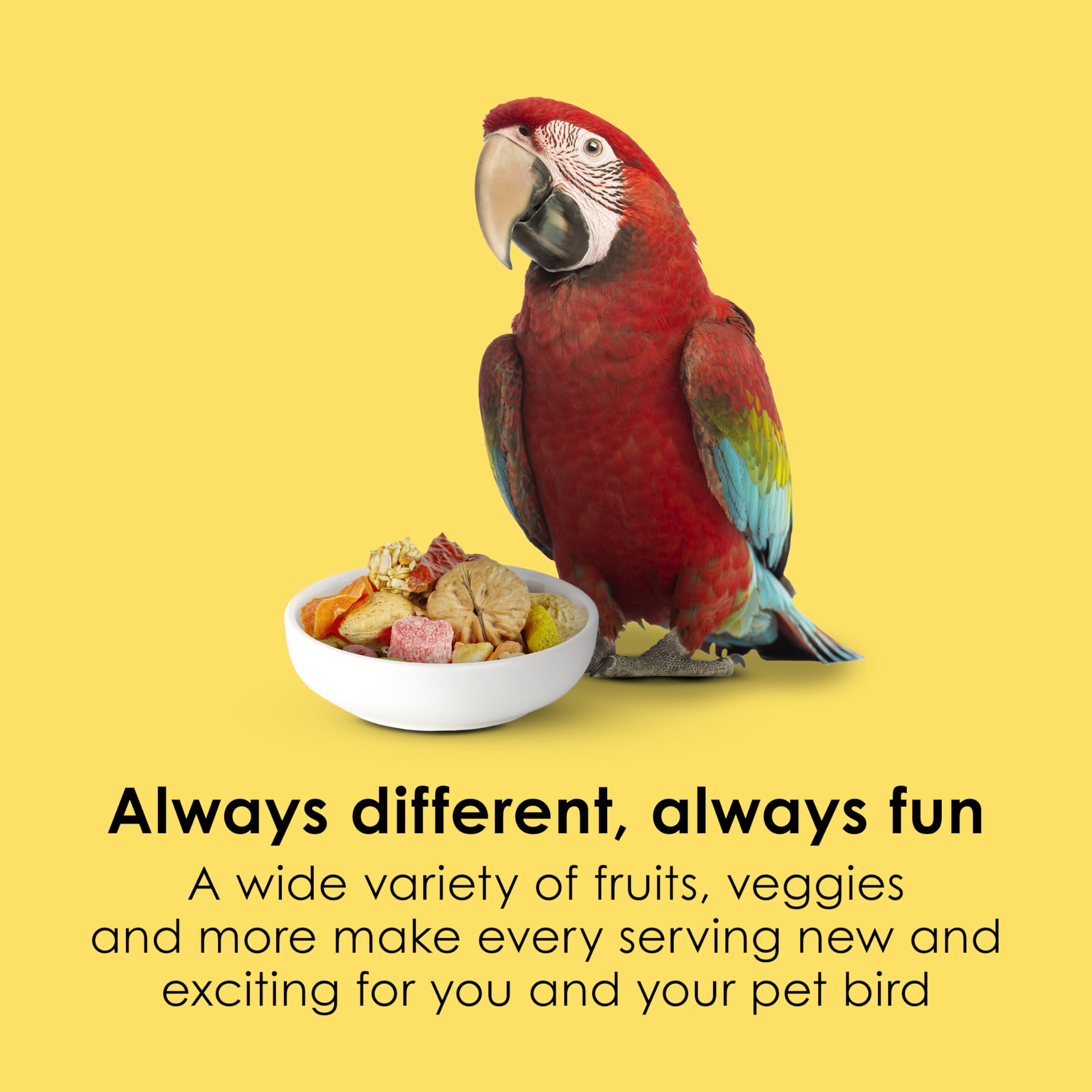 Kaytee Fiesta Big Bites Macaw Food textures et formes diverses stimulent l exploration