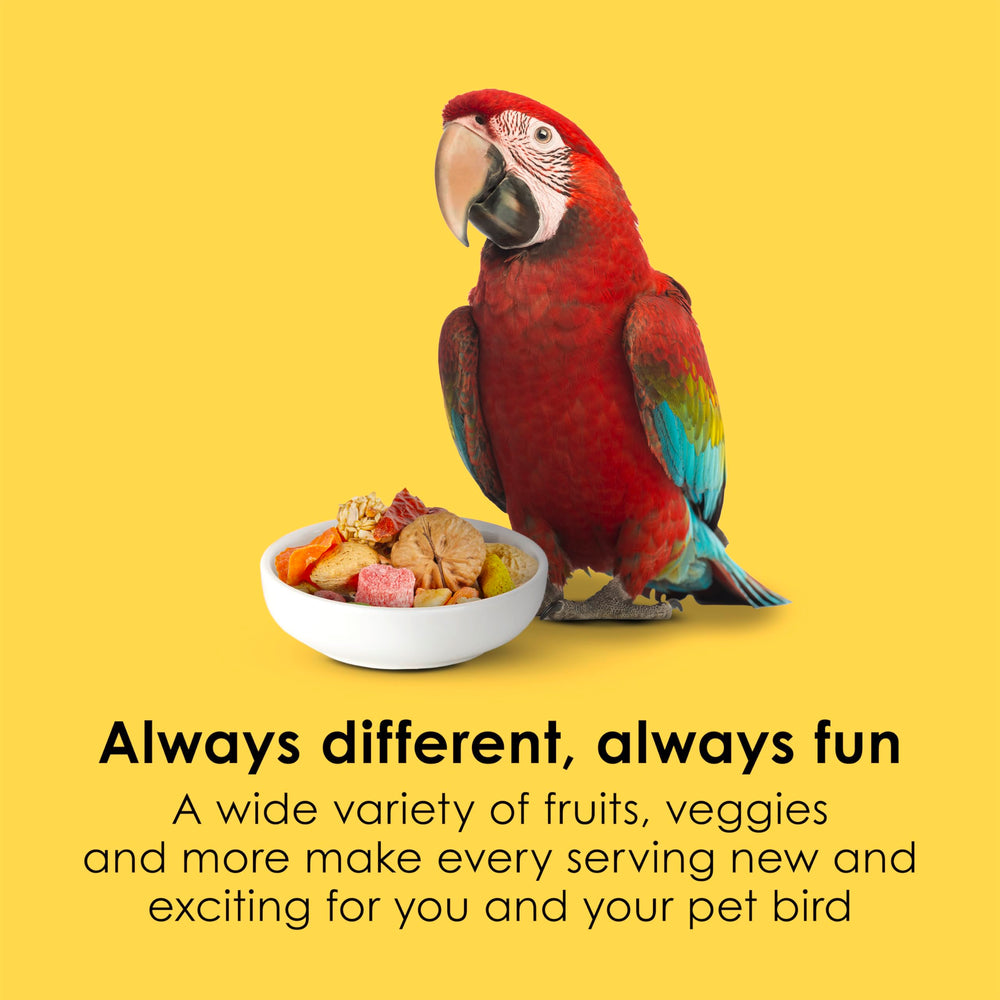 Kaytee Fiesta Big Bites Macaw Food textures et formes diverses stimulent l exploration