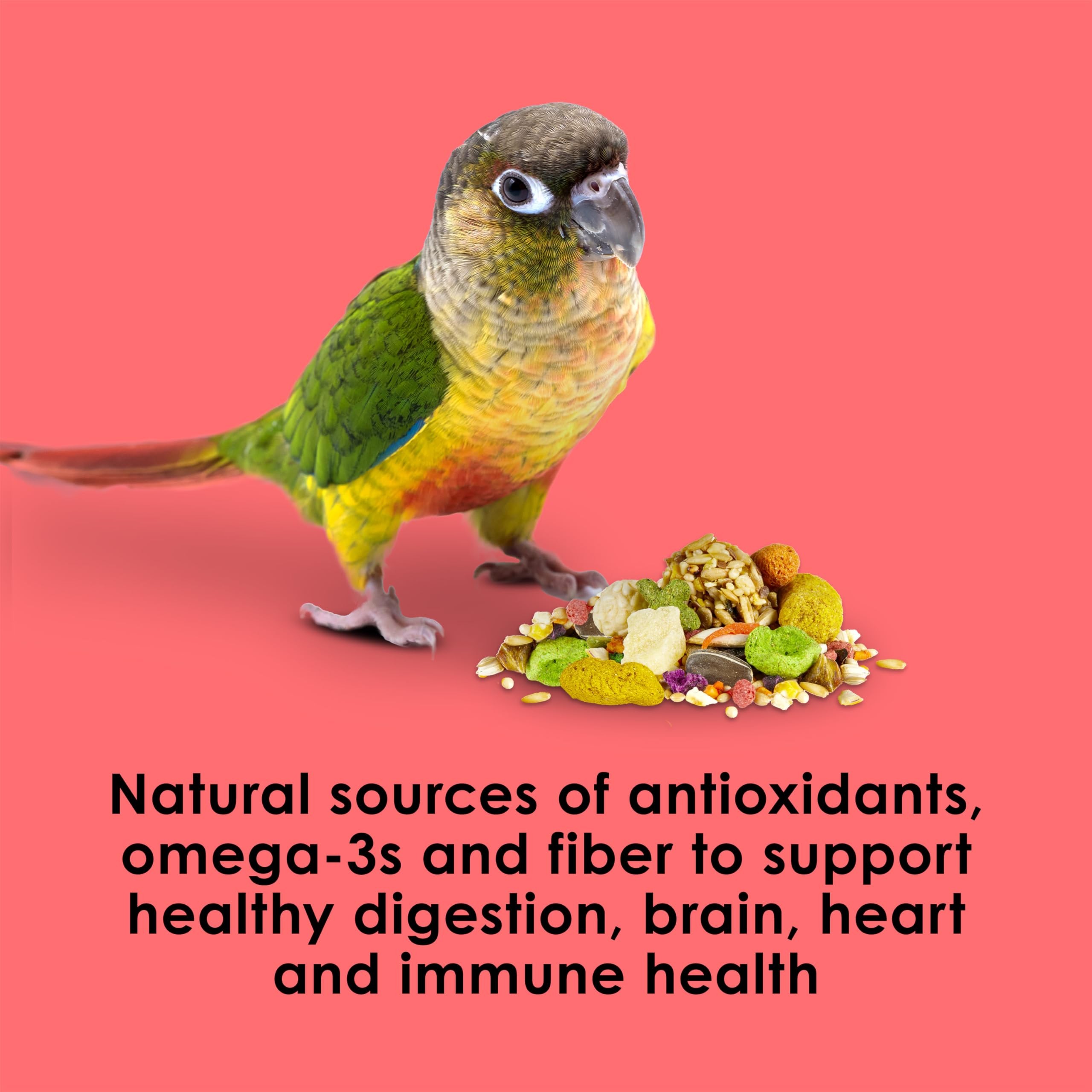 Kaytee Fiesta Conure – fibres et prébiotiques pour une digestion confortable.