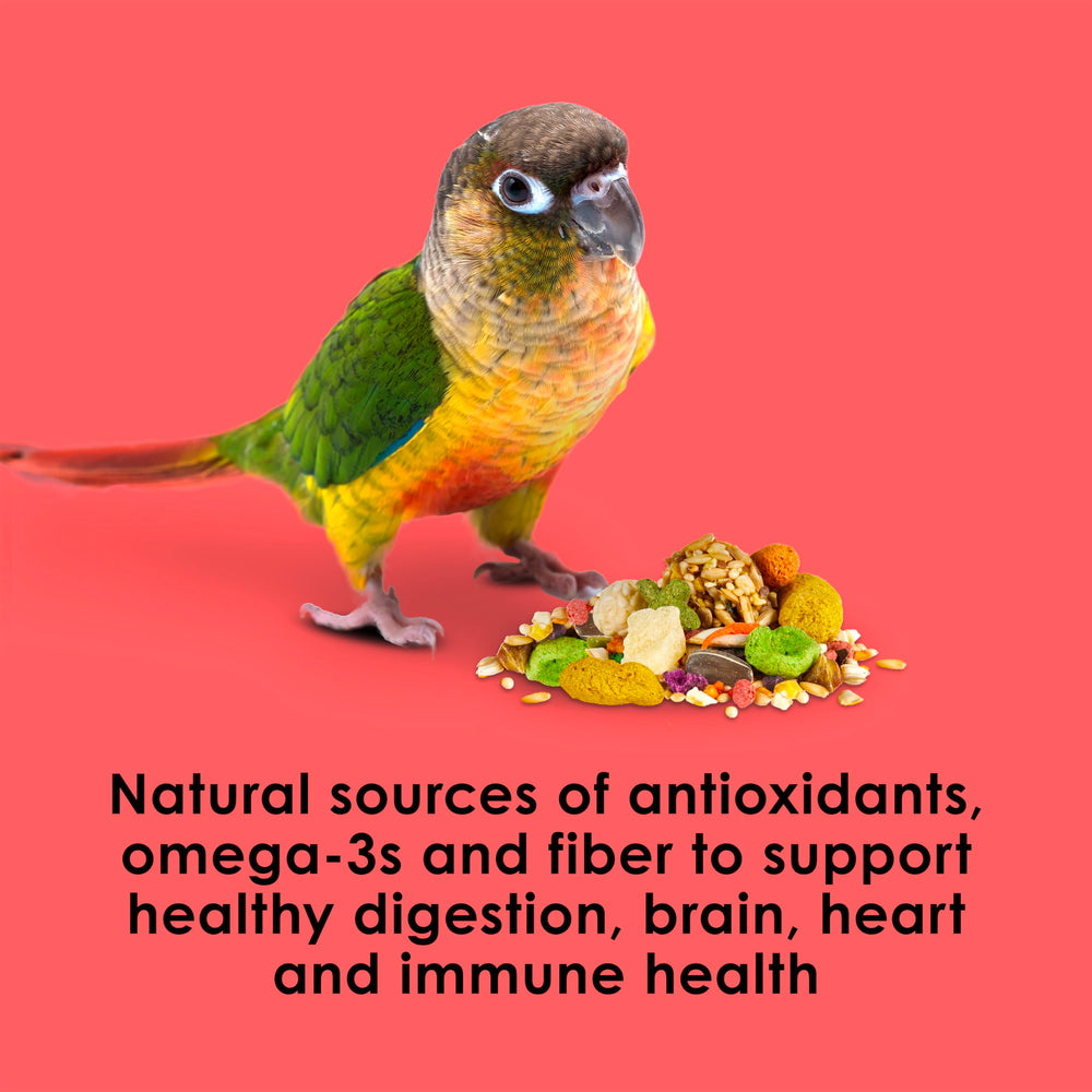 Kaytee Fiesta Conure – fibres et prébiotiques pour une digestion confortable.
