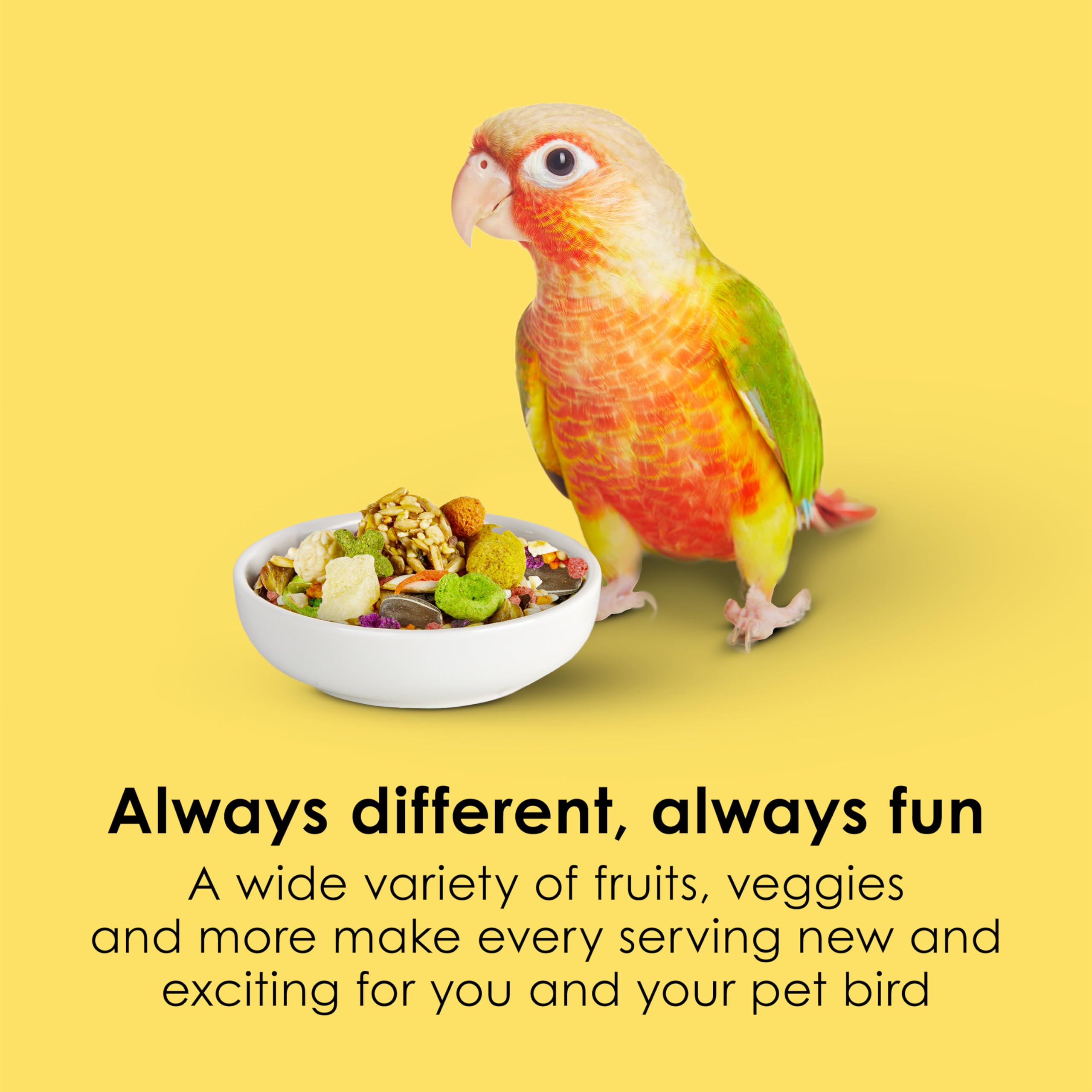 Kaytee Fiesta Conure – ananas carotte coco apportant douceur naturelle et goût varié.