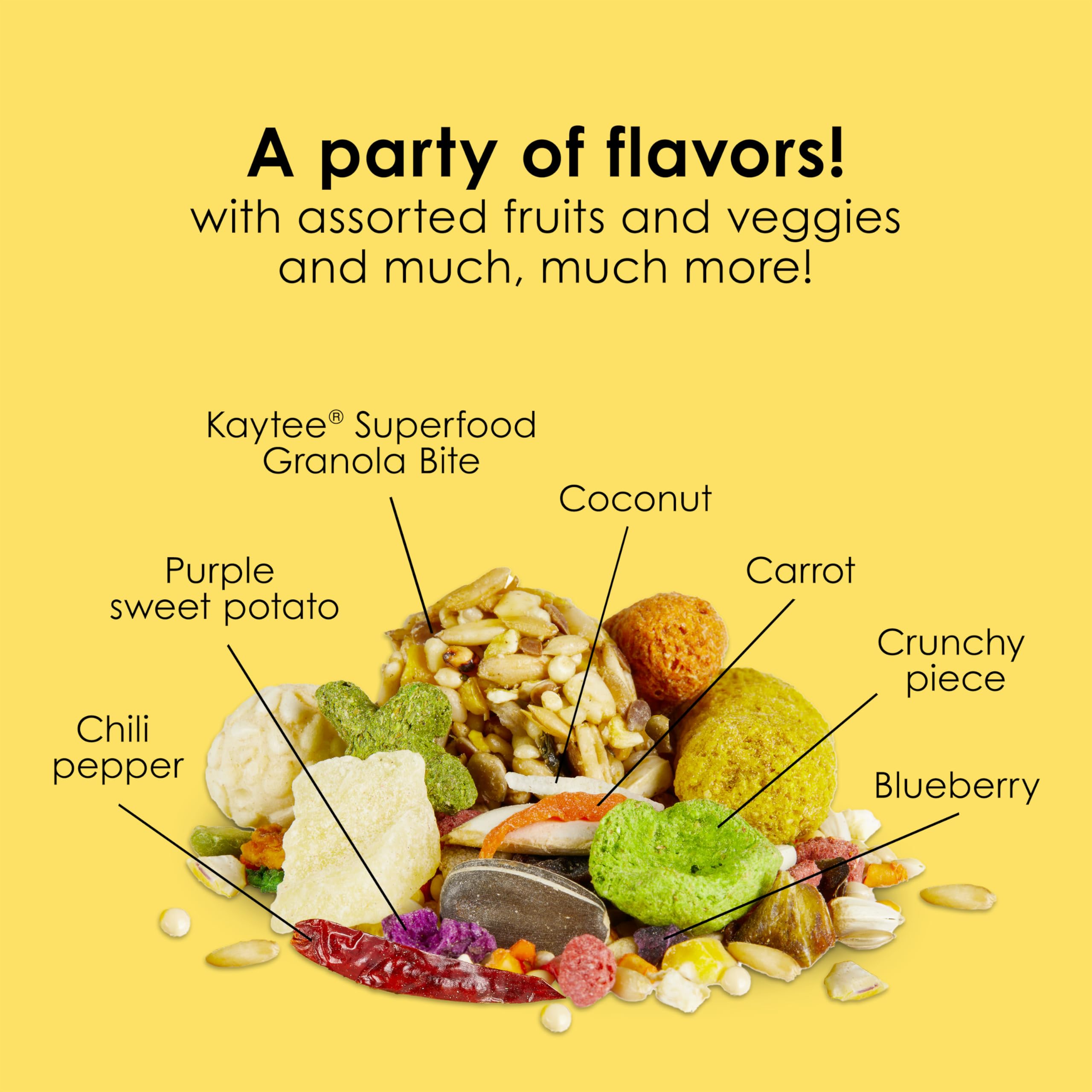 Kaytee Fiesta Conure – peau et plumage éclatants grâce au mélange nutritif.