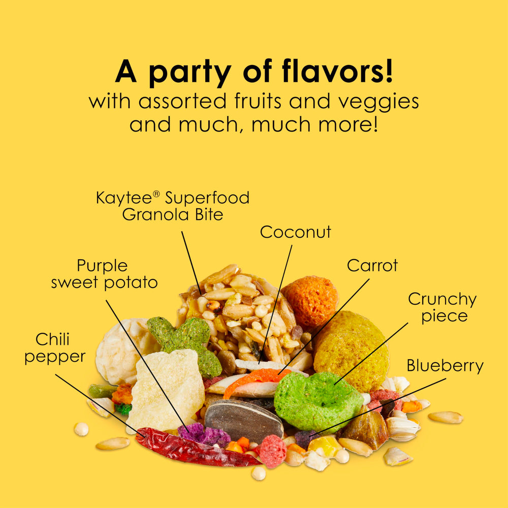 Kaytee Fiesta Conure – peau et plumage éclatants grâce au mélange nutritif.