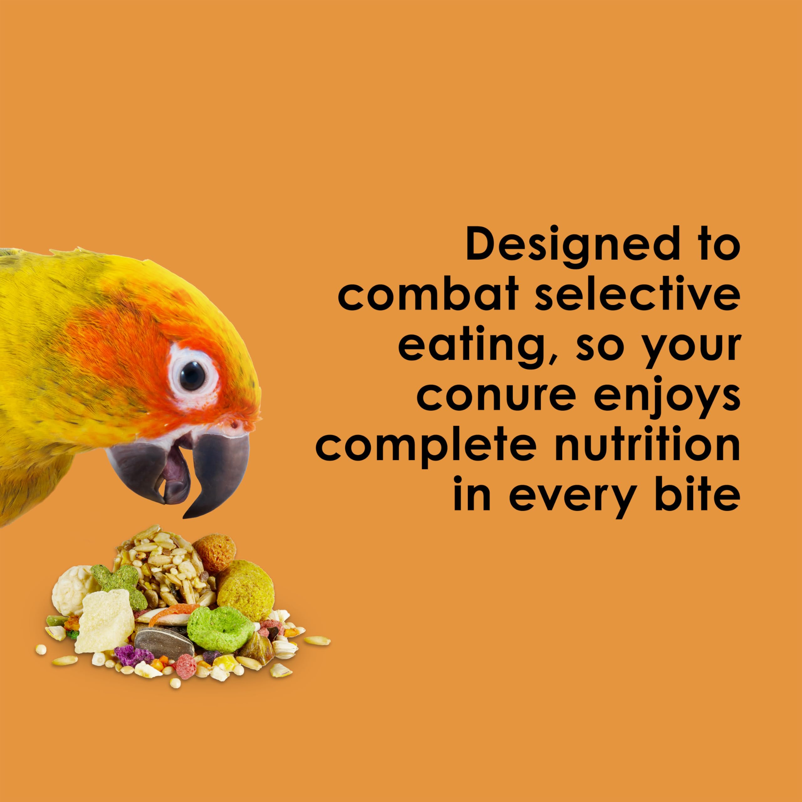 Kaytee Fiesta Conure – textures et formes variées favorisant le foraging ludique.