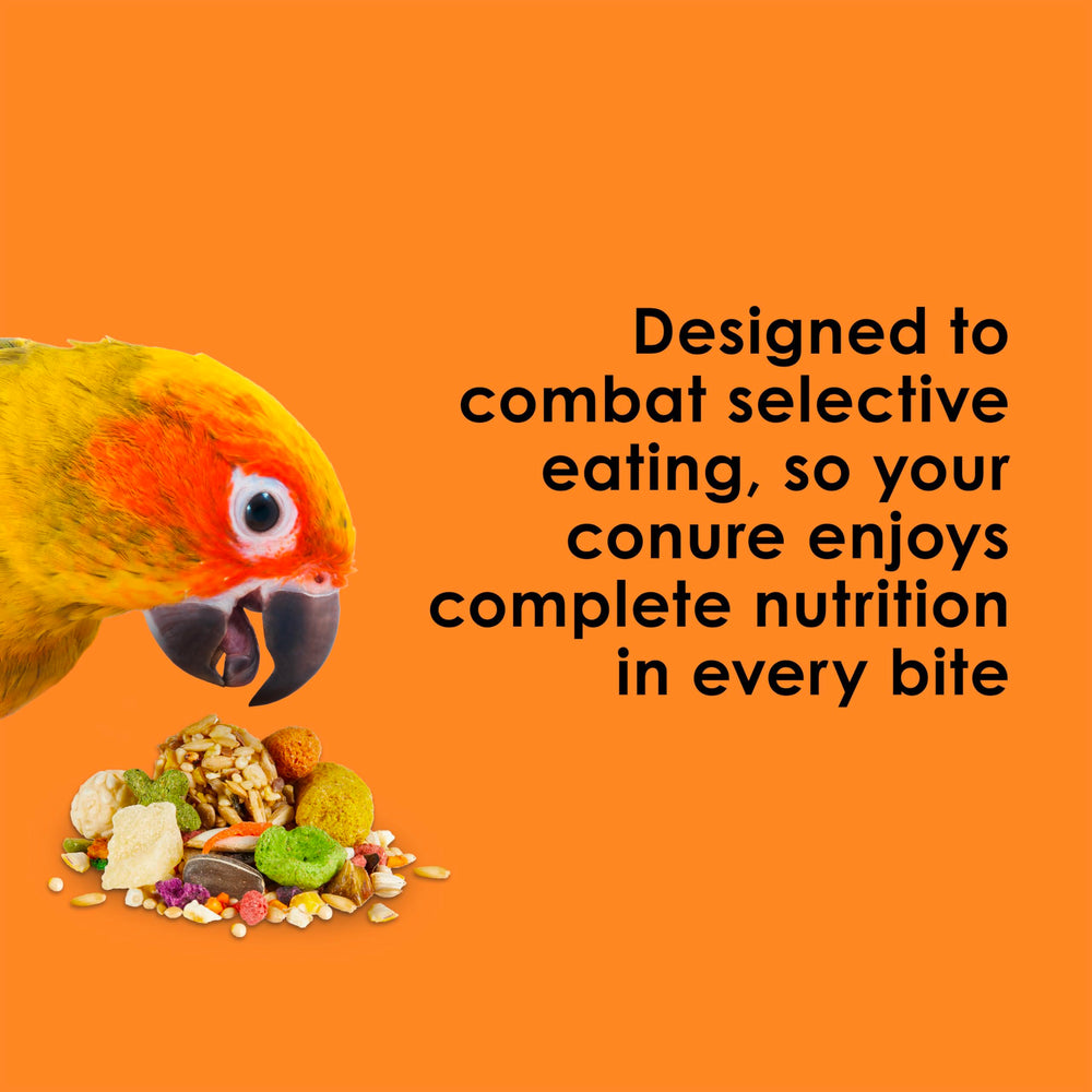 Kaytee Fiesta Conure – textures et formes variées favorisant le foraging ludique.