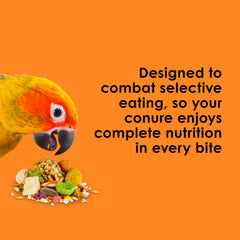 Kaytee Fiesta Conure – textures et formes variées favorisant le foraging ludique.