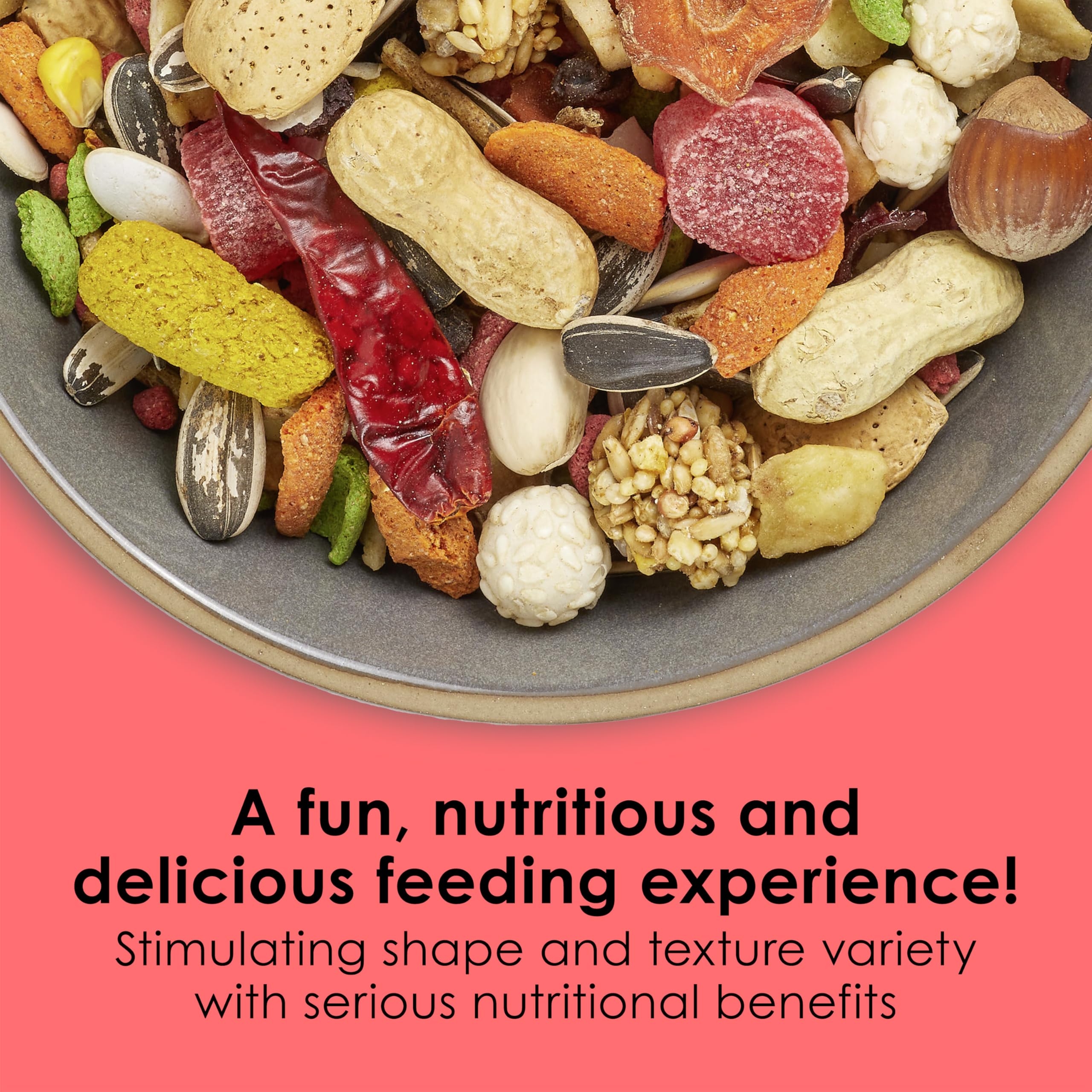 Kaytee Fiesta melange fruits-seeds-legumes, nutriments variés pour stimulation du repas.