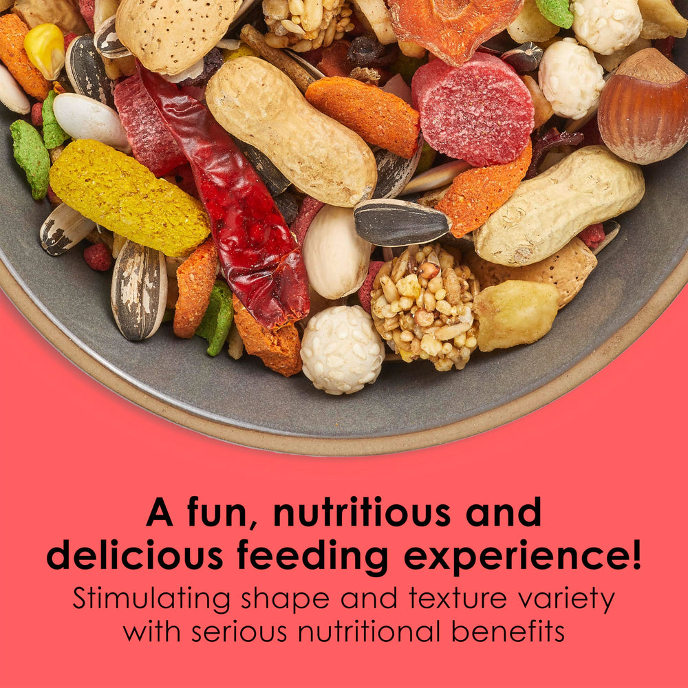 Kaytee Fiesta melange fruits-seeds-legumes, nutriments variés pour stimulation du repas.