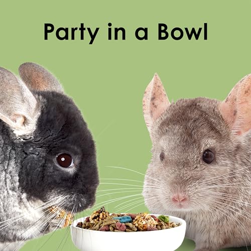 Soutien dentaire potentiel Kaytee Fiesta Chinchilla Food par la mastication.
