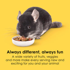 Texture variée Kaytee Fiesta Chinchilla Food qui stimule l’alimentation naturelle.