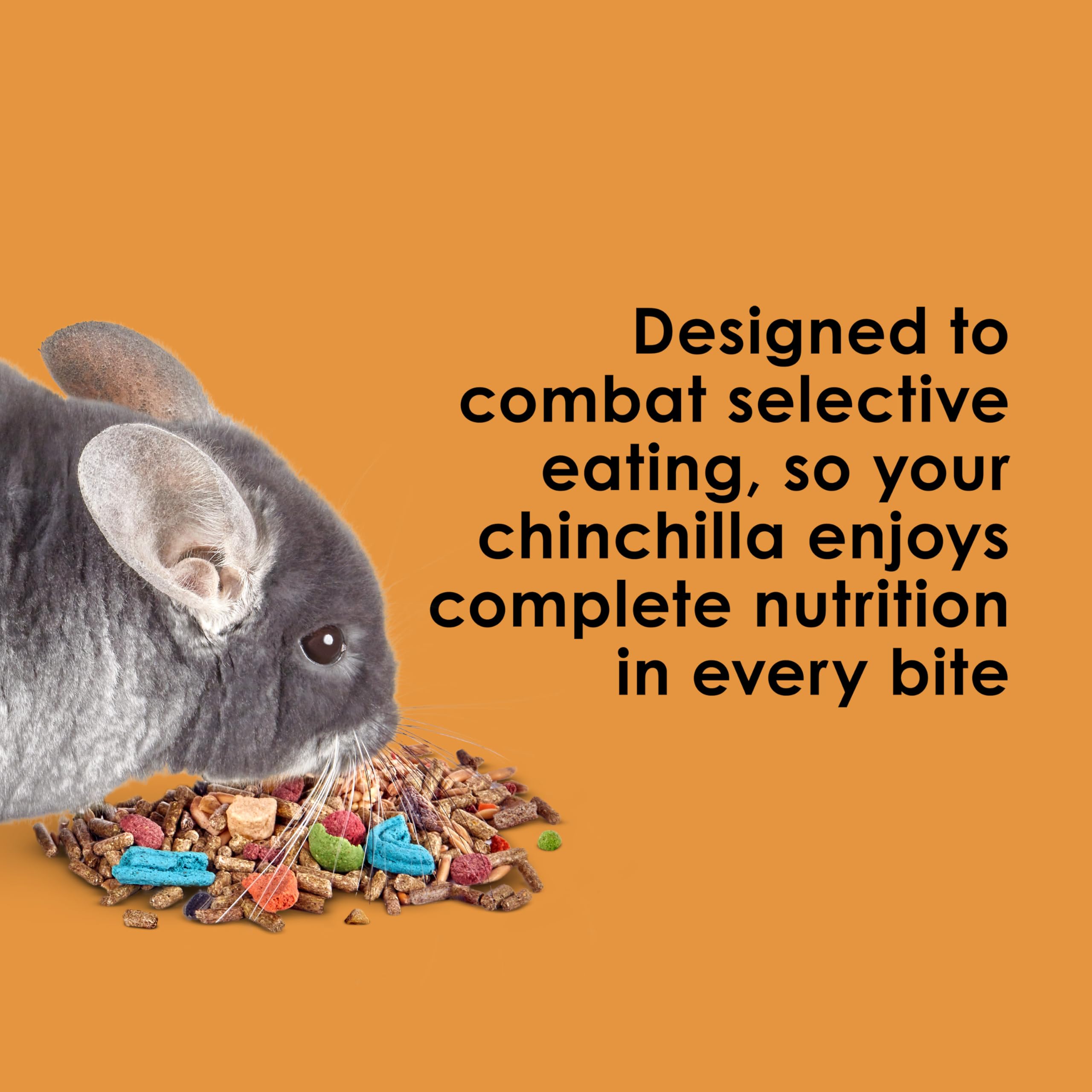 Kaytee Fiesta Chinchilla Food avec antioxydants naturels pour la vitalité.