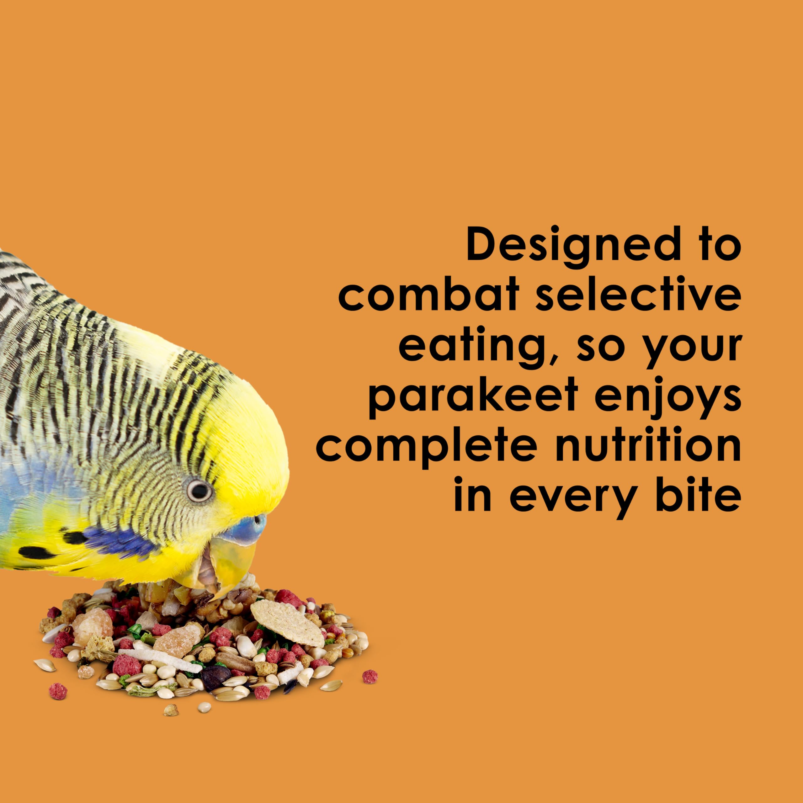 Kaytee Fiesta: forage naturel, stimulation mentale au moment du repas.