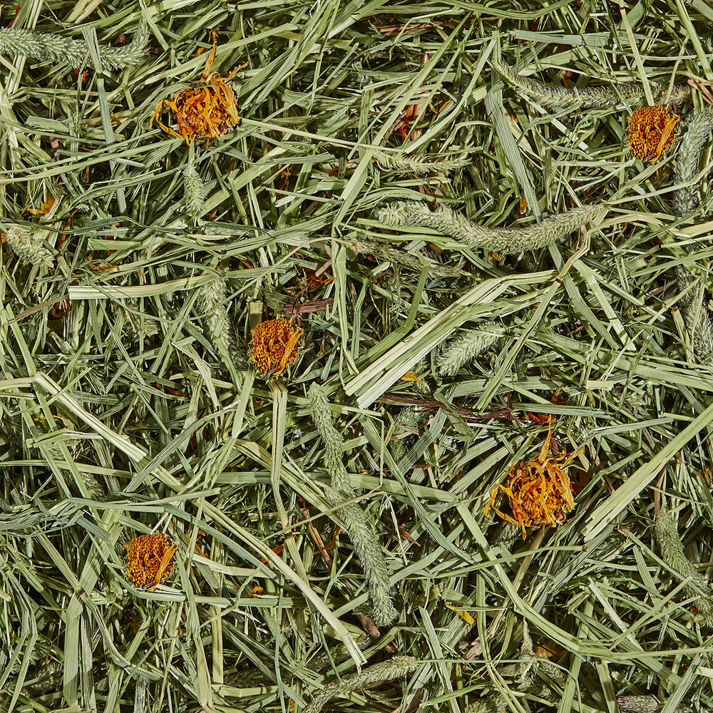 Kaytee foin de timothy filaments longs, texture variée appréciée des petits animaux