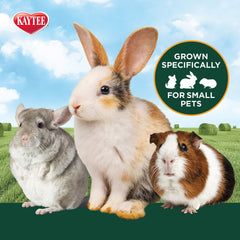 Kaytee Foin Timothy avec canneberges, textures variées pour l'alimentation.