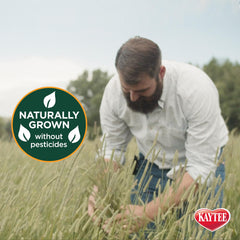 Kaytee Foin Timothy Première Coupe Ballot – sans pesticides pour lapins et cobayes.