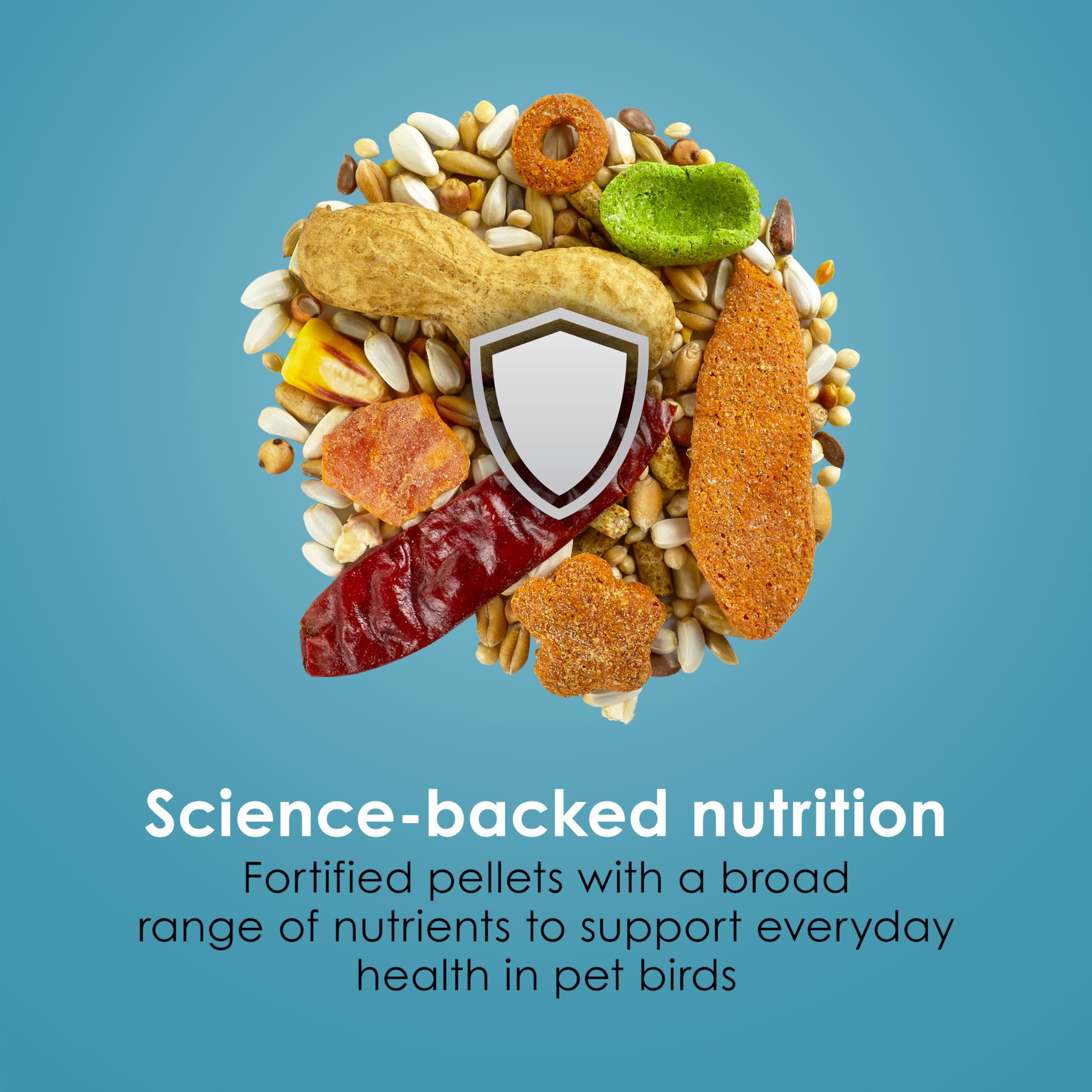Kaytee Forti-Diet Pro Health, soutien nutritionnel quotidien pour perroquet actif