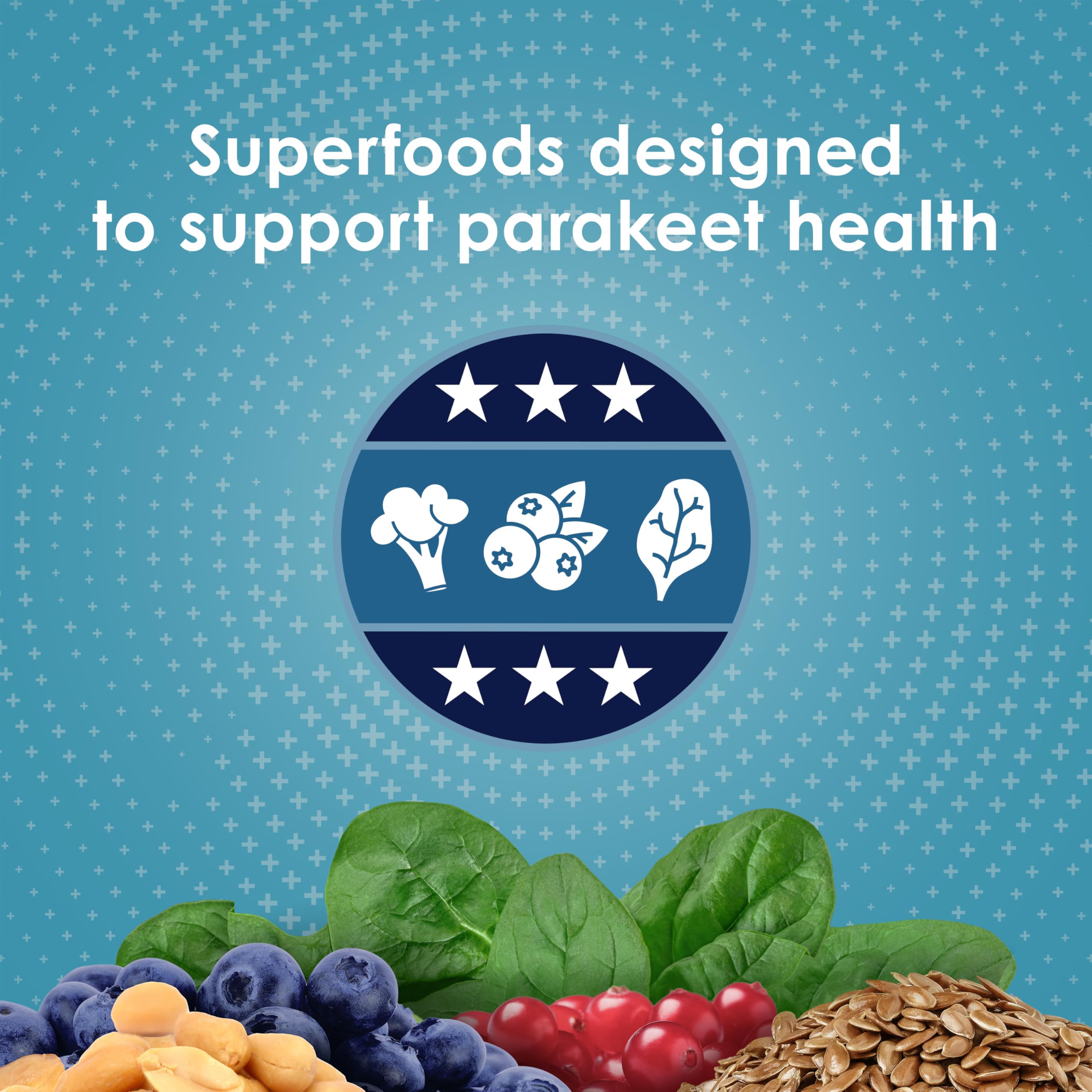 Kaytee Forti-Diet Pro Health Perruche : myrtilles riches en antioxydants pour la vitalité.