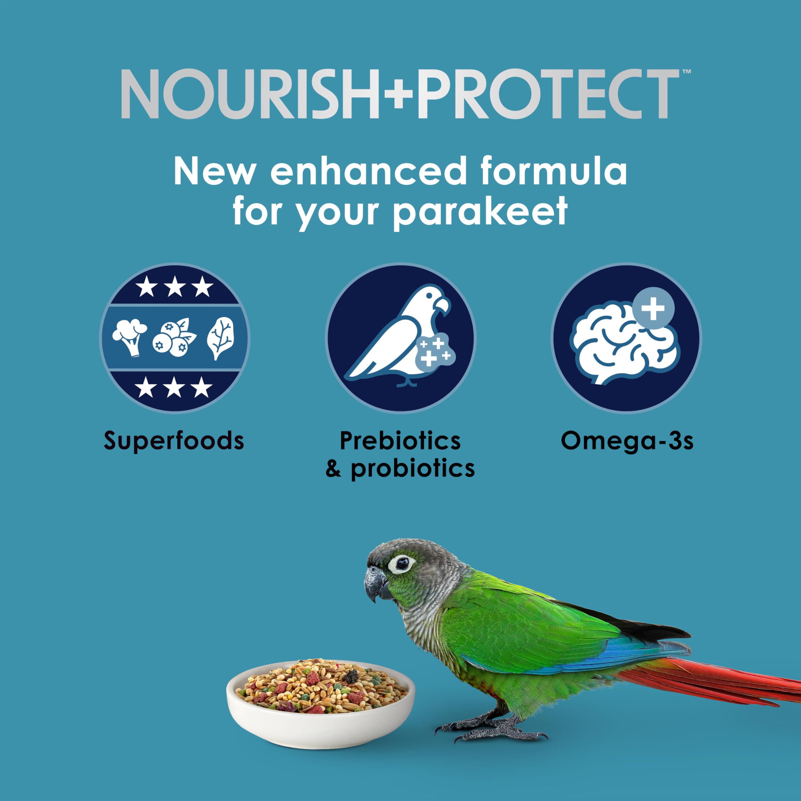 Kaytee Forti-Diet Pro Health Perruche : noix et arachides enrichissant l’alimentation.