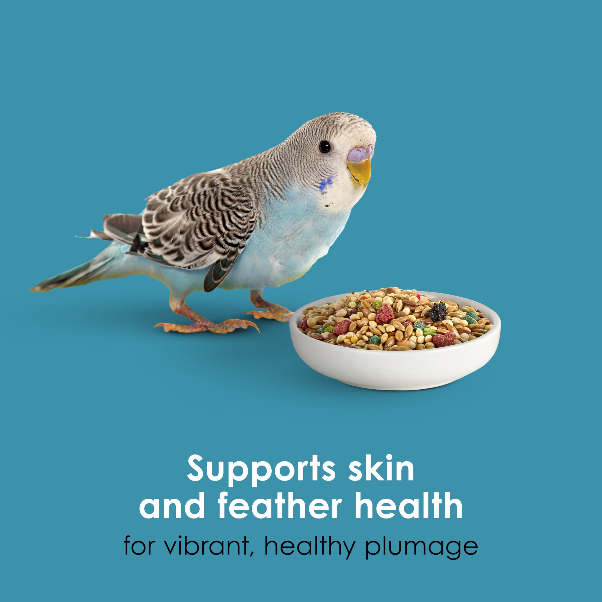 Kaytee Forti-Diet Pro Health – plumage plus vibrant et peau saine.