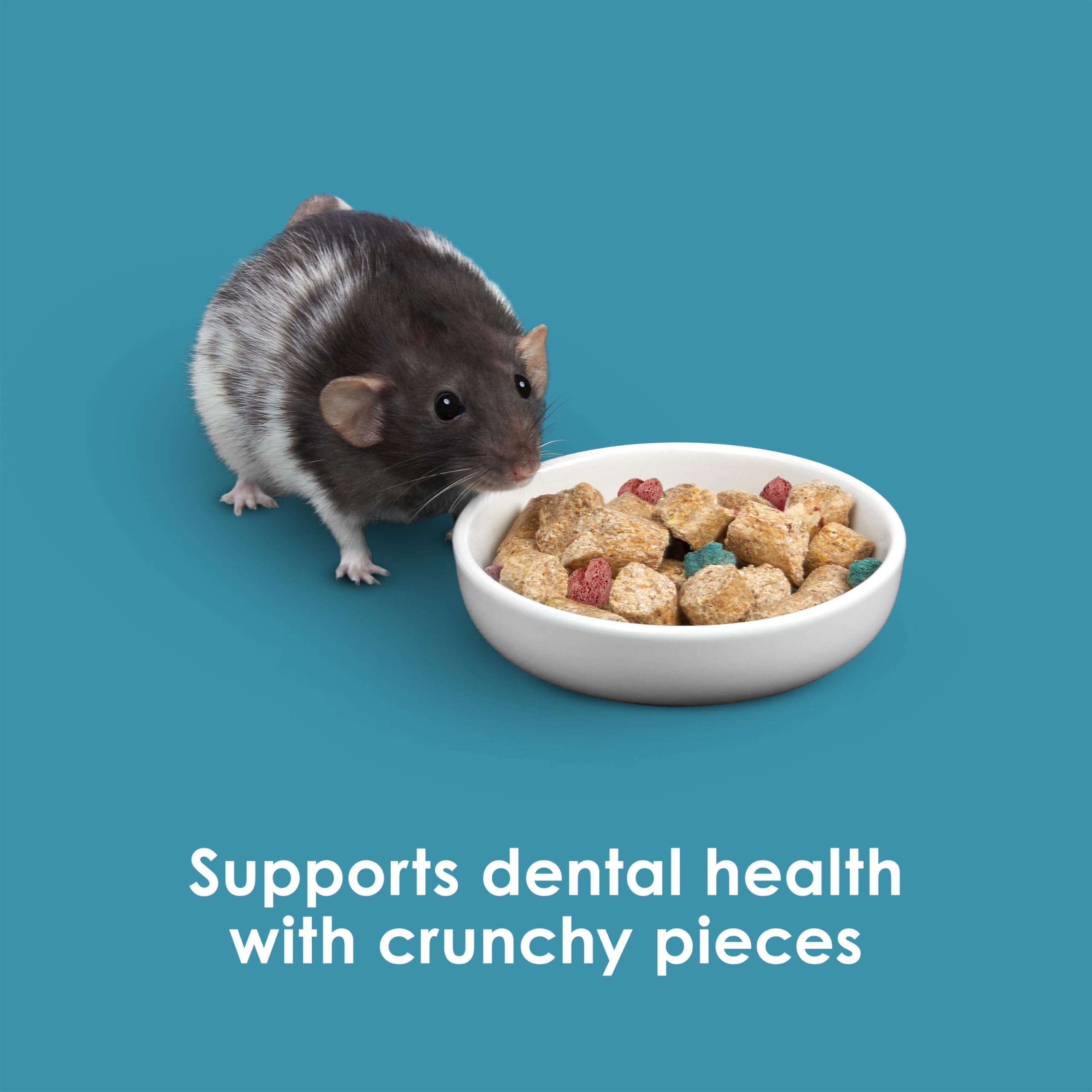 Kaytee Forti-Diet Pro Health : pellets denses favorisant la mastication