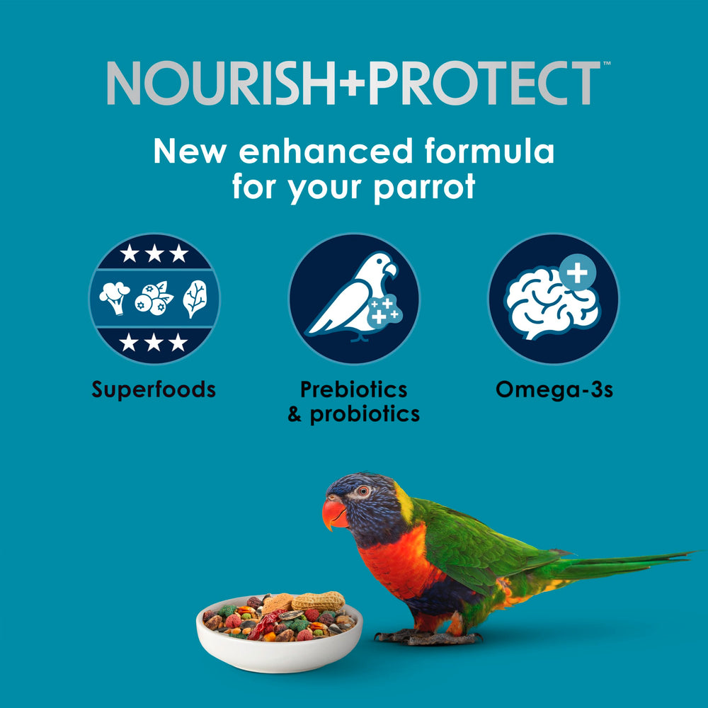 Kaytee Forti-Diet Pro Health graines de lin, richesse en nutriments