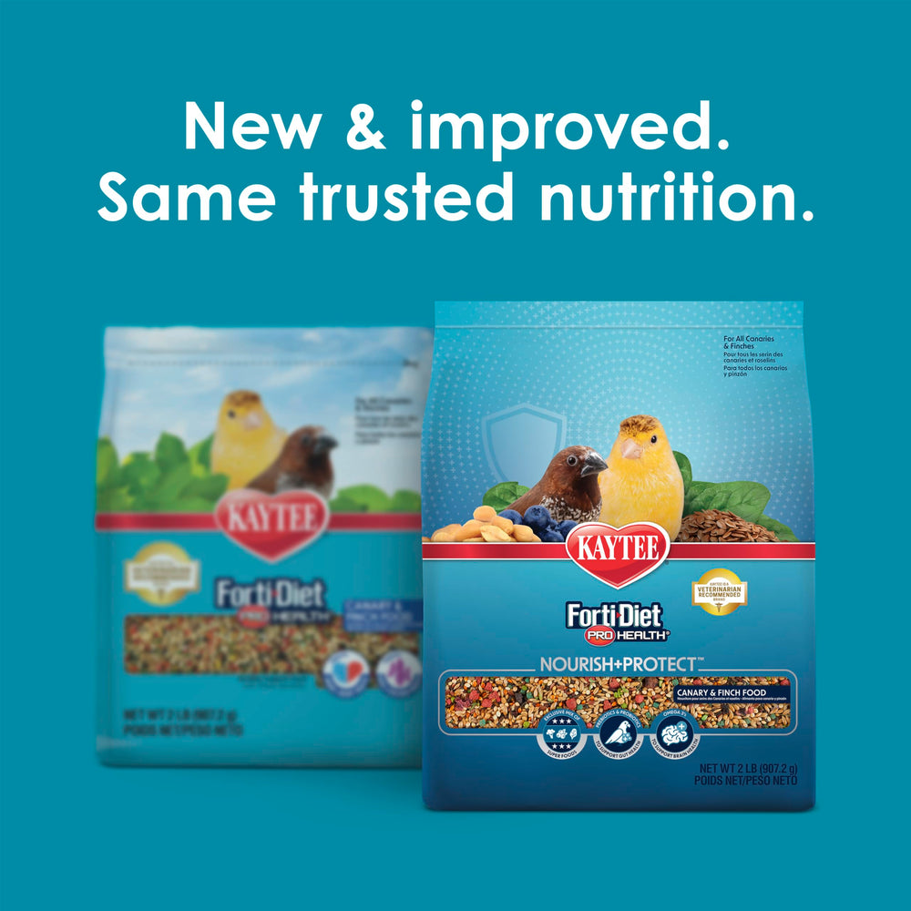 Forti-Diet Pro Health Kaytee: ingrédients et perruches riches en nutriments.