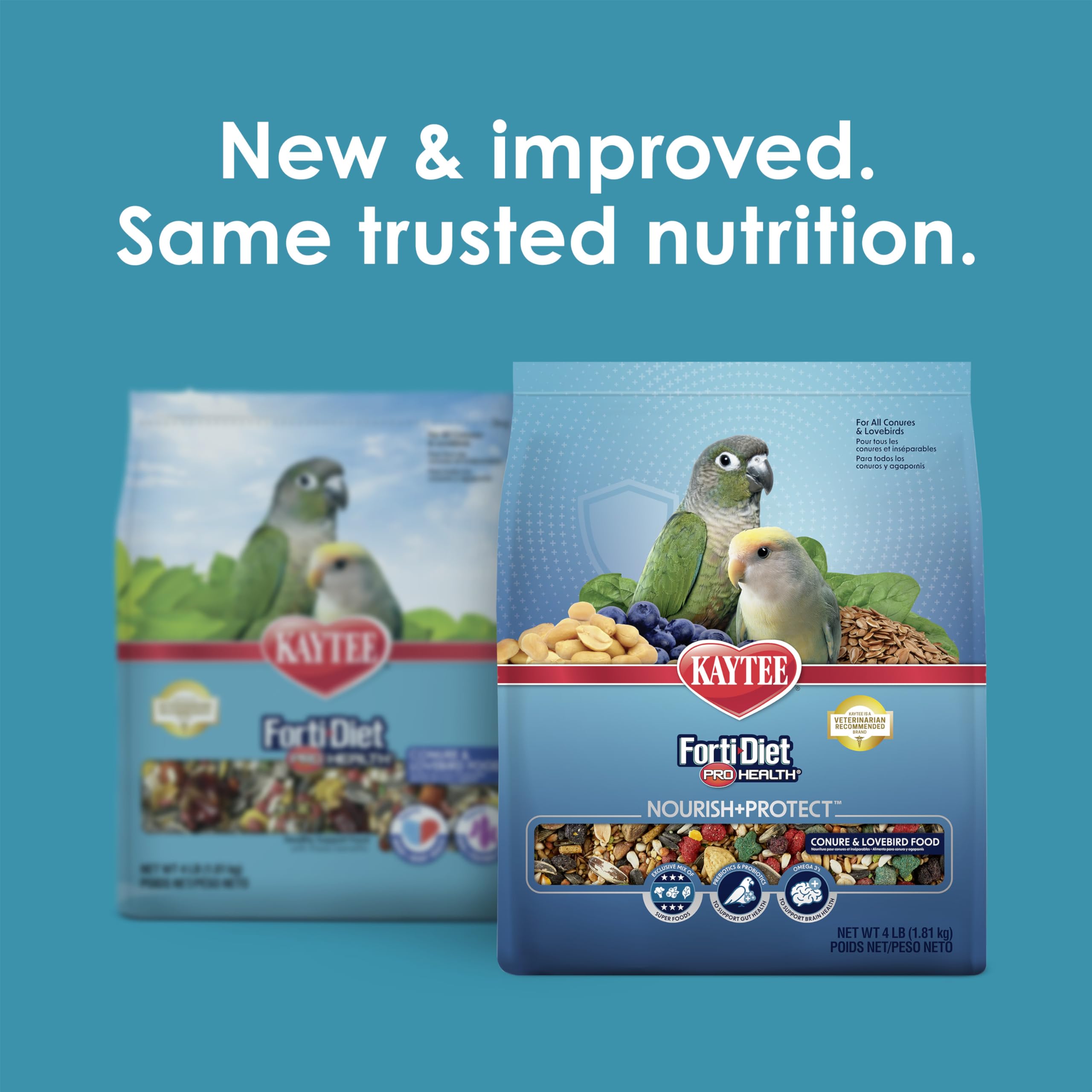 Gamme d'ingrédients riches avec flaxseed et fruits pour nutriments et saveur.