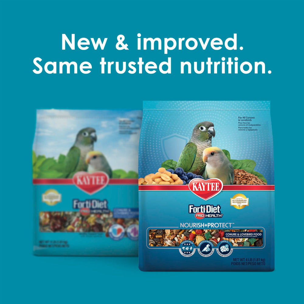 Gamme d'ingrédients riches avec flaxseed et fruits pour nutriments et saveur.