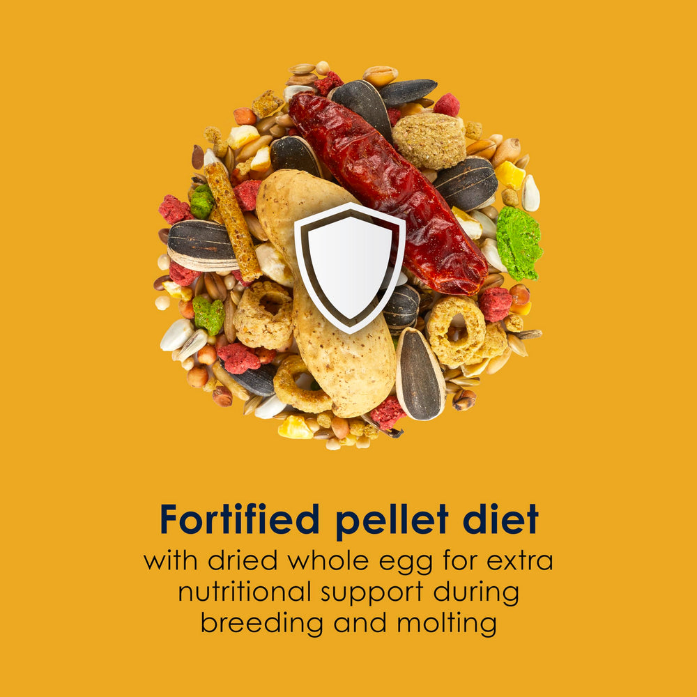 Kaytee Forti-Diet Pro Health utilisation quotidienne simple et pratique.