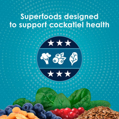 Épinards frais pour l’apport en vitamines Kaytee Forti-Diet.