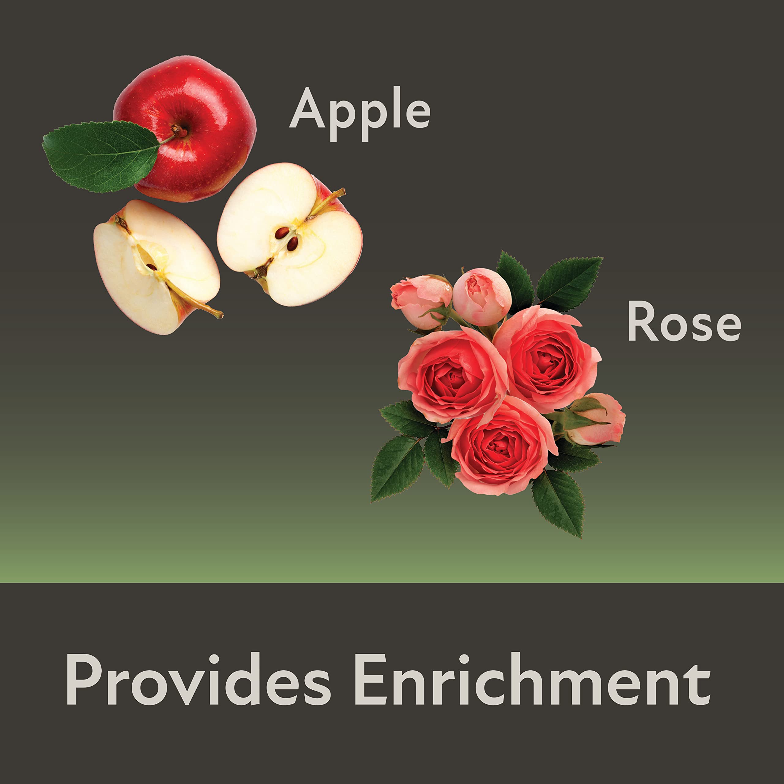 Kaytee garniture rose, friandise parfumée pour petits animaux.
