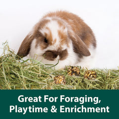 kaytee granola bites, enrichissement par forage et exploration