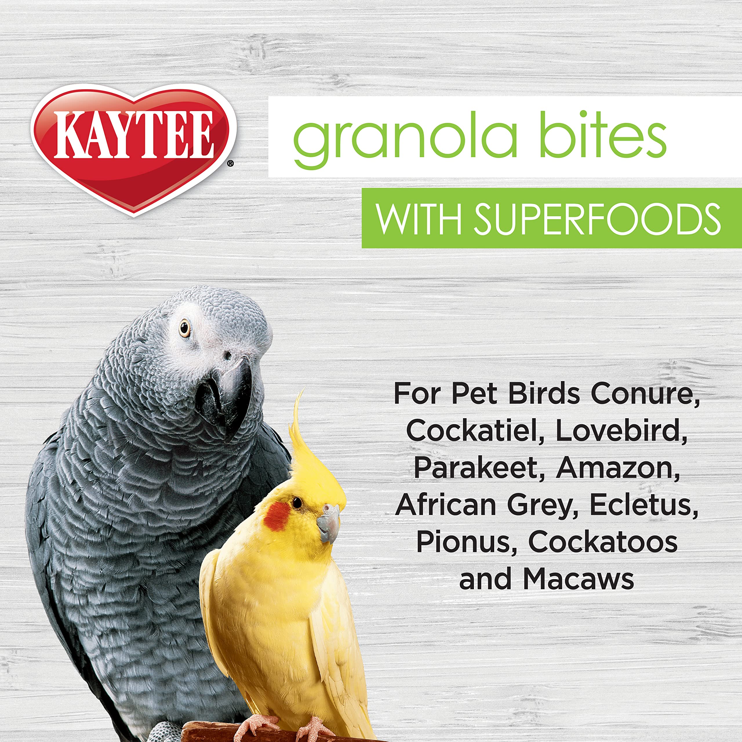 Oiseaux dégustant Kaytee Granola Bites, plaisir et enrichment alimentaire