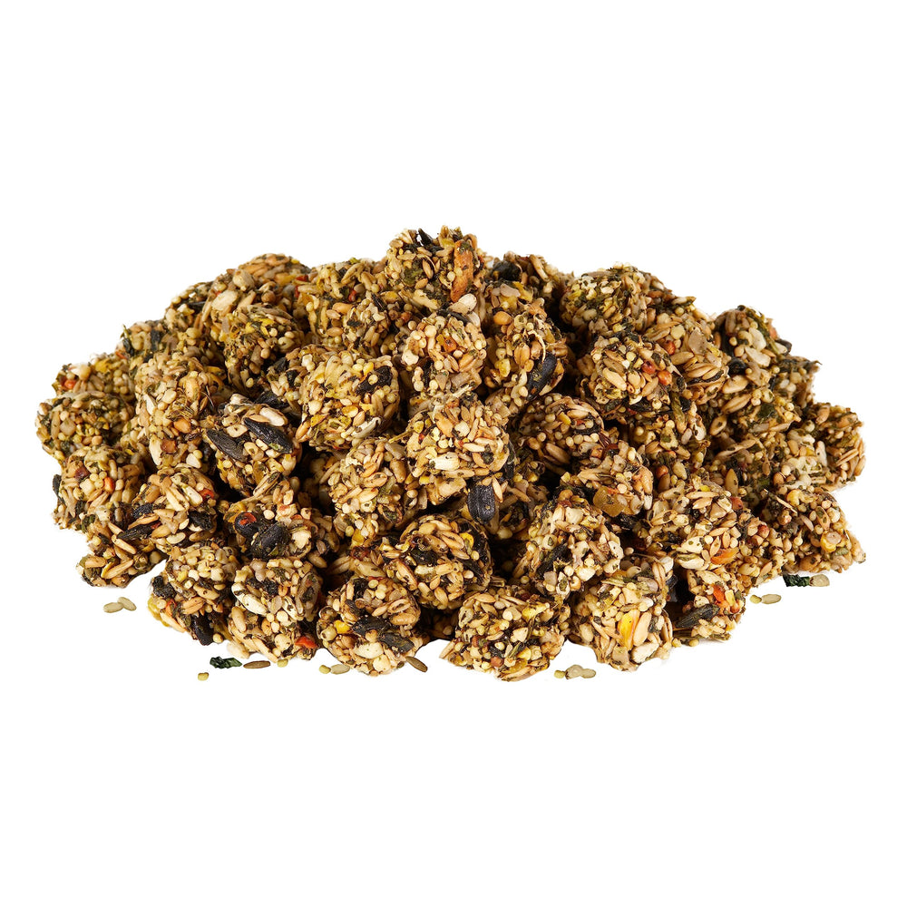 kaytee granola bites, prébiotiques et fibres pour digestion saine
