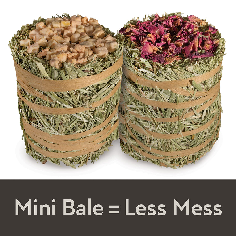 Kaytee hay mini-bales fibre dense et naturelle.