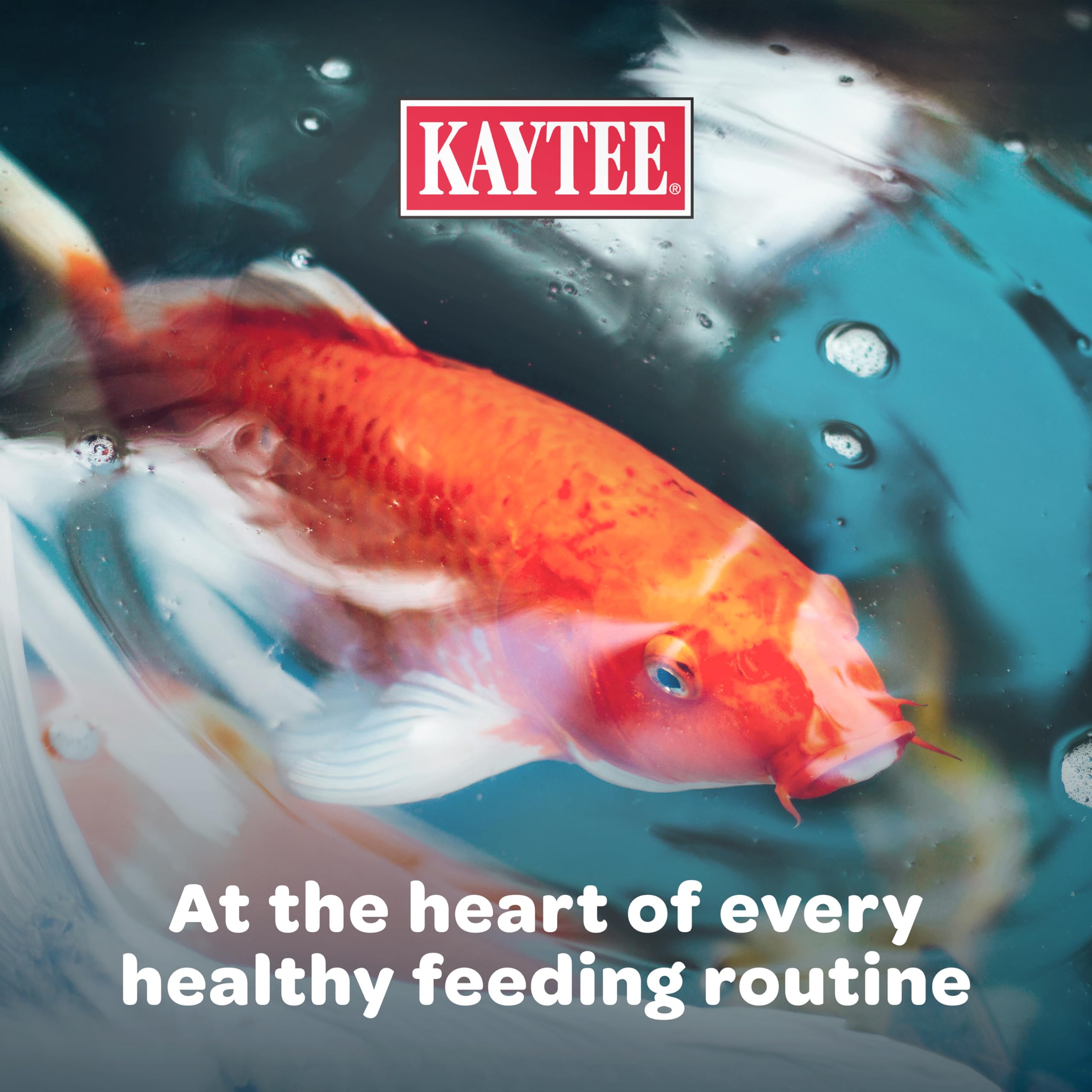 Kaytee Koi's Choice granules flottants conviennent à l'alimentation quotidienne.