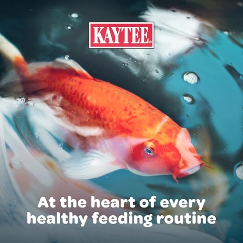 Kaytee Koi’s Choice, réduction des restes dans le bassin