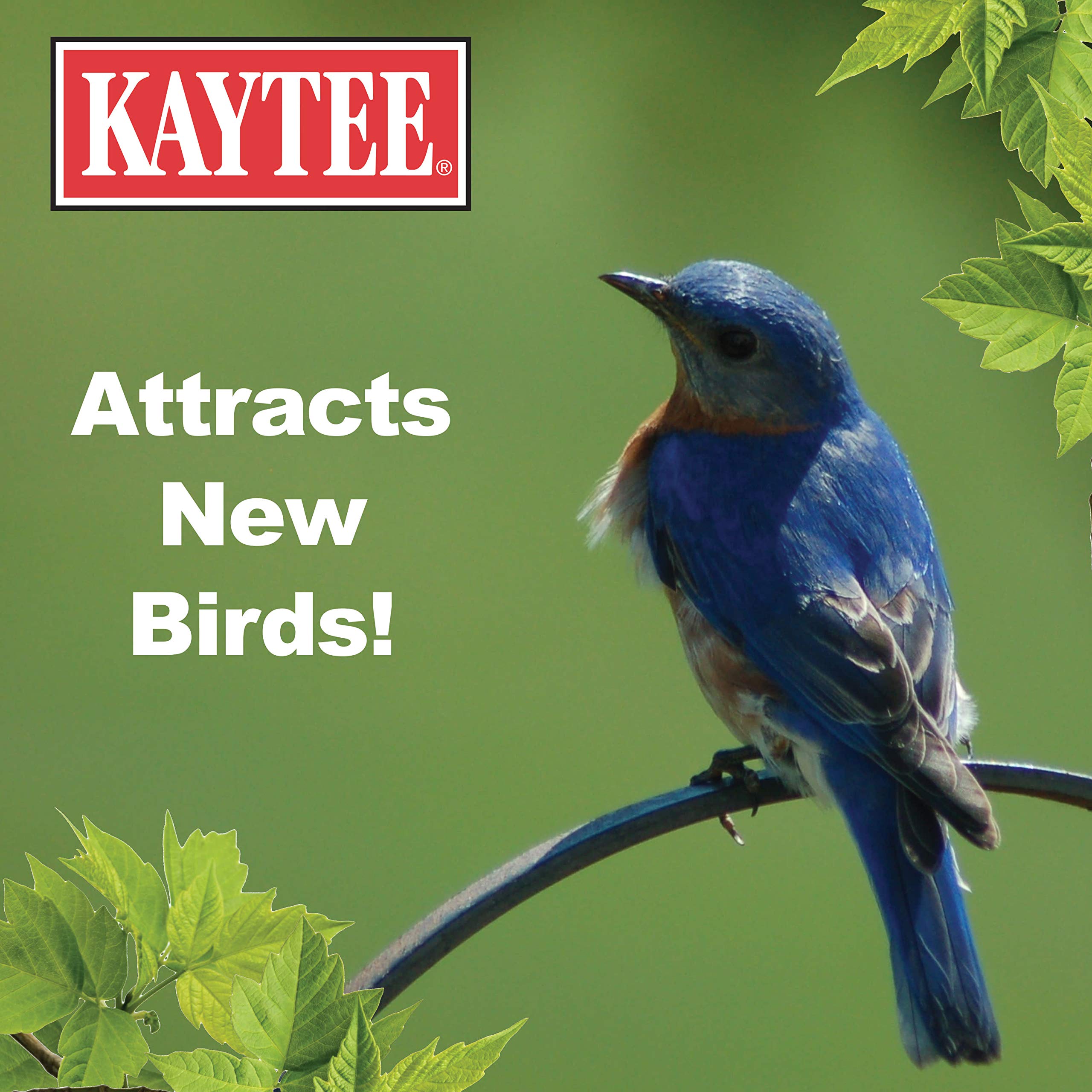 Kaytee larves de farine séchées, usage seul ou mélangé avec des graines.