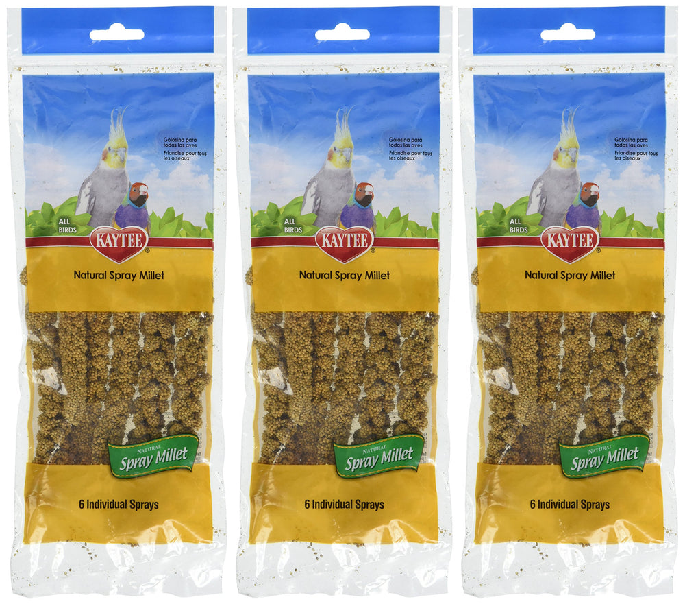 Kaytee millet en aérosol pour oiseaux, emballage 3 paquets.
