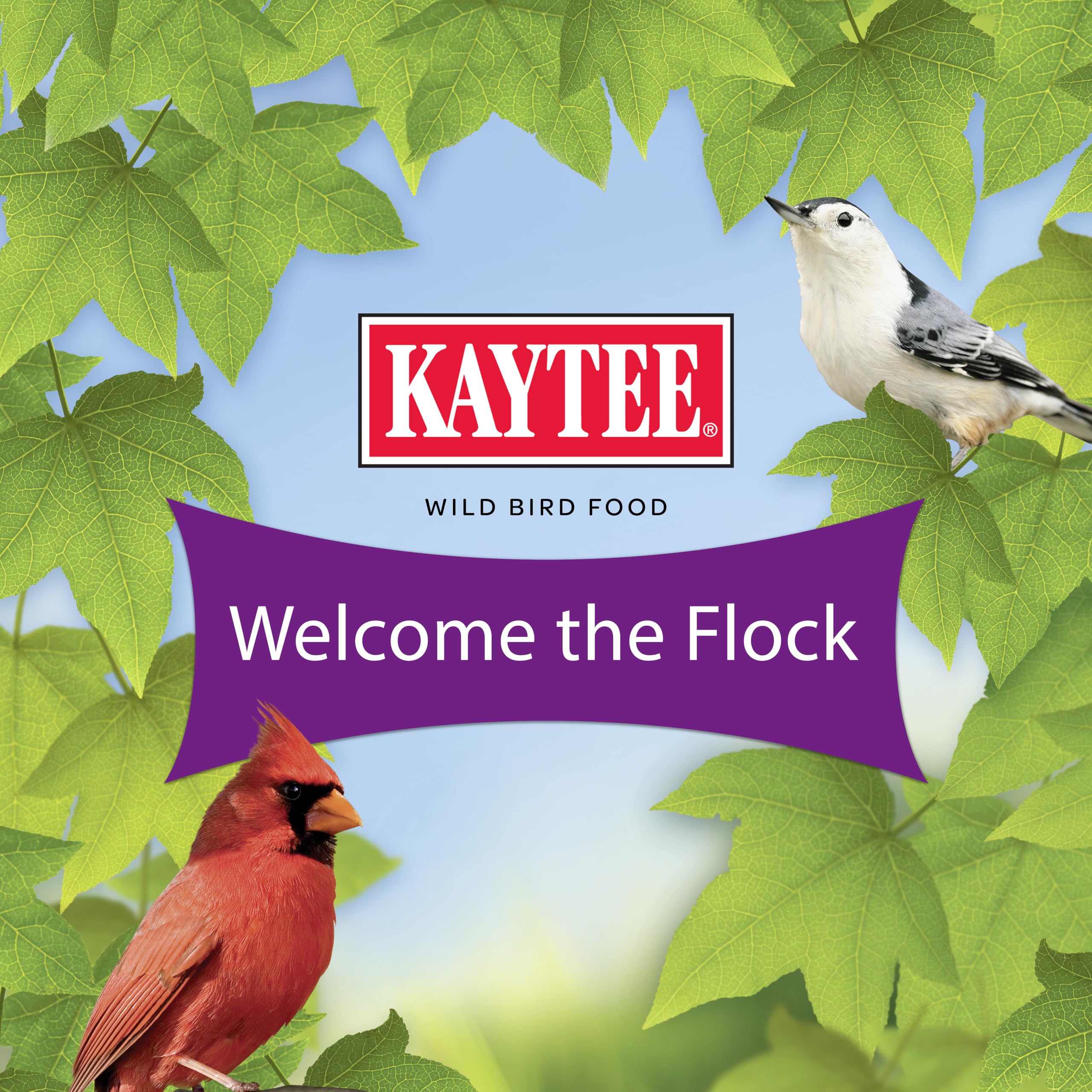 Kaytee Noix et Fruits – sittelles sur mangeoire, mélange apprécié par les oiseaux.