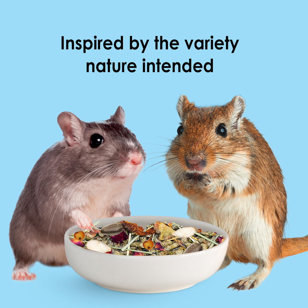 Hamster explorant forage naturel dans son habitat.