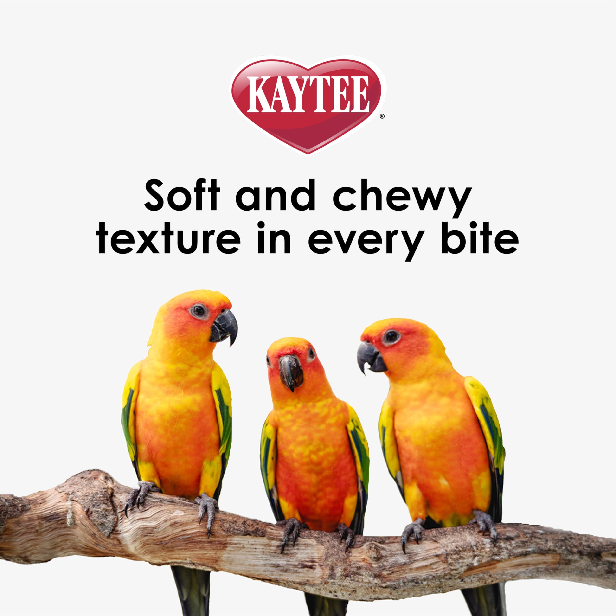 Kaytee Nutri Soft est idéal pour les perroquets et conures difficiles à nourrir.