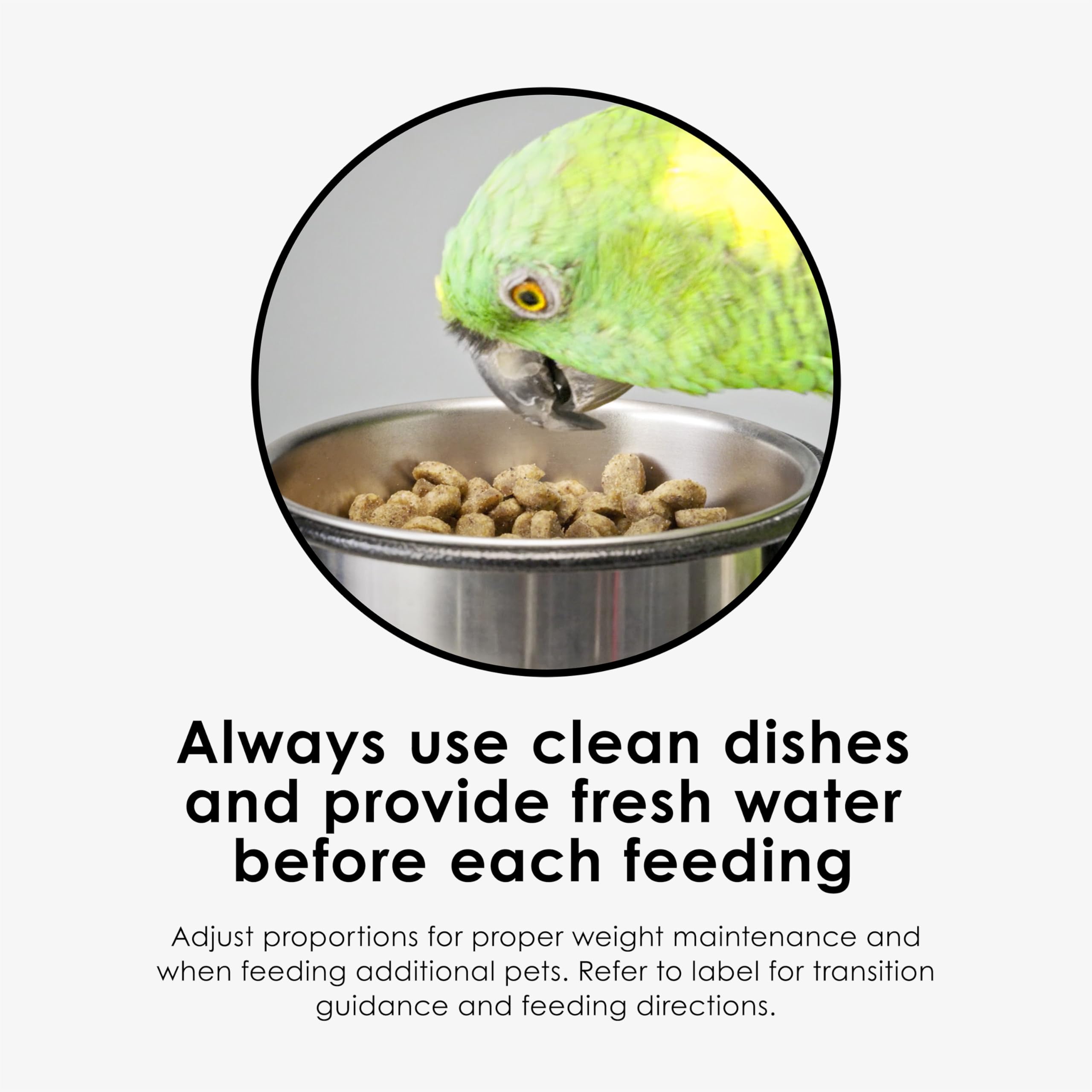 Kaytee Nutri Soft offre une nutrition complète adaptée aux besoins quotidiens des oiseaux.